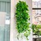 3 Green Silk Pothos Artificial Hanging Plants Party Events Decorations Supplies